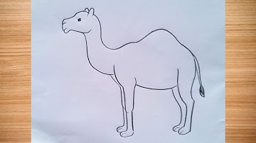 how to draw camel drawing easy step by step@DrawingTalent
