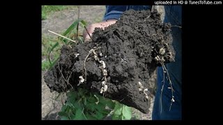 Podcast - The Relevance of Soil Biology in Assessing Fertility and Soil Health