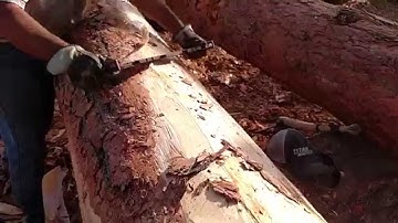 Hunts Timbers - Hand peeling logs with a Drawknife