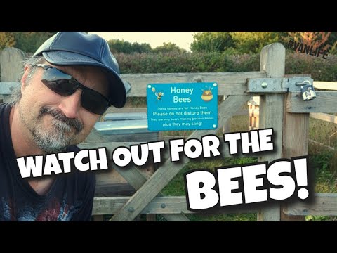 WATCH OUT for the BEES! | Found the Hives | DO NOT DISTURB THE BEES! #vanlife