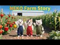 牧場で働く猫ちゃんたちの１日Part2