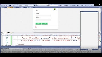 Input Validation in WPF C# Part 2
