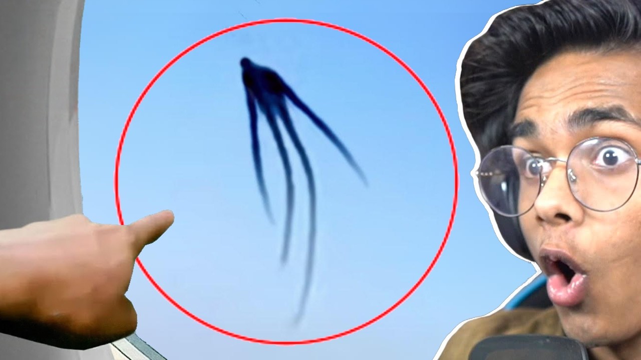 Strange Things Spotted by Airline Passenger