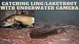 How I target DAYTIME Burbot and LAKE TROUT With UNDERWATER CAMERA!!- STRUCTURE TIPS/TRICKS