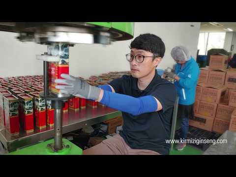 Video: Ginseng kökleri nasıl yetiştirilir?