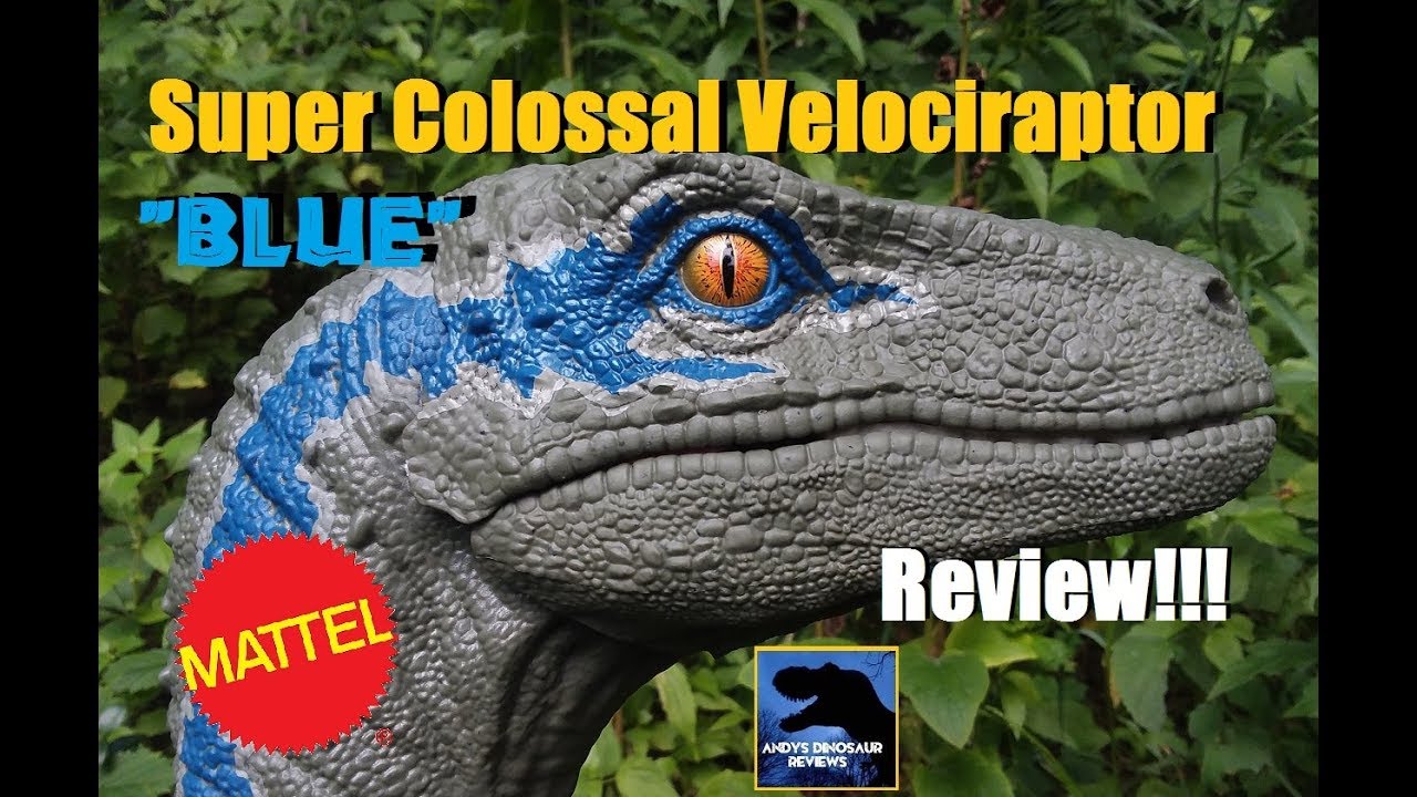 19 Mattel Super Colossal Blue Velociraptor Review Jurassic World Youtube