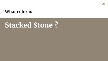 Stacked Stone color #918676 hex color - Brown color - Cool color 918676