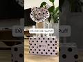 Đồ chơi mới của Puff #chomeodangyeu #cuncon #meocon #dethuong #petvideos