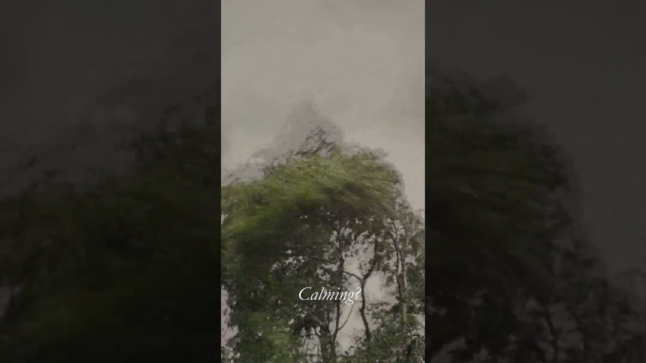 Powerful Wind Sounds in Nature (No Music) #asmr #rain #rainoundforsleep