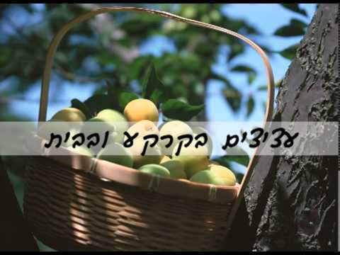 ‫הלכות שמיטה ופרוזבול‬‎ - YouTube