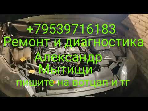 замена ГРМ форд