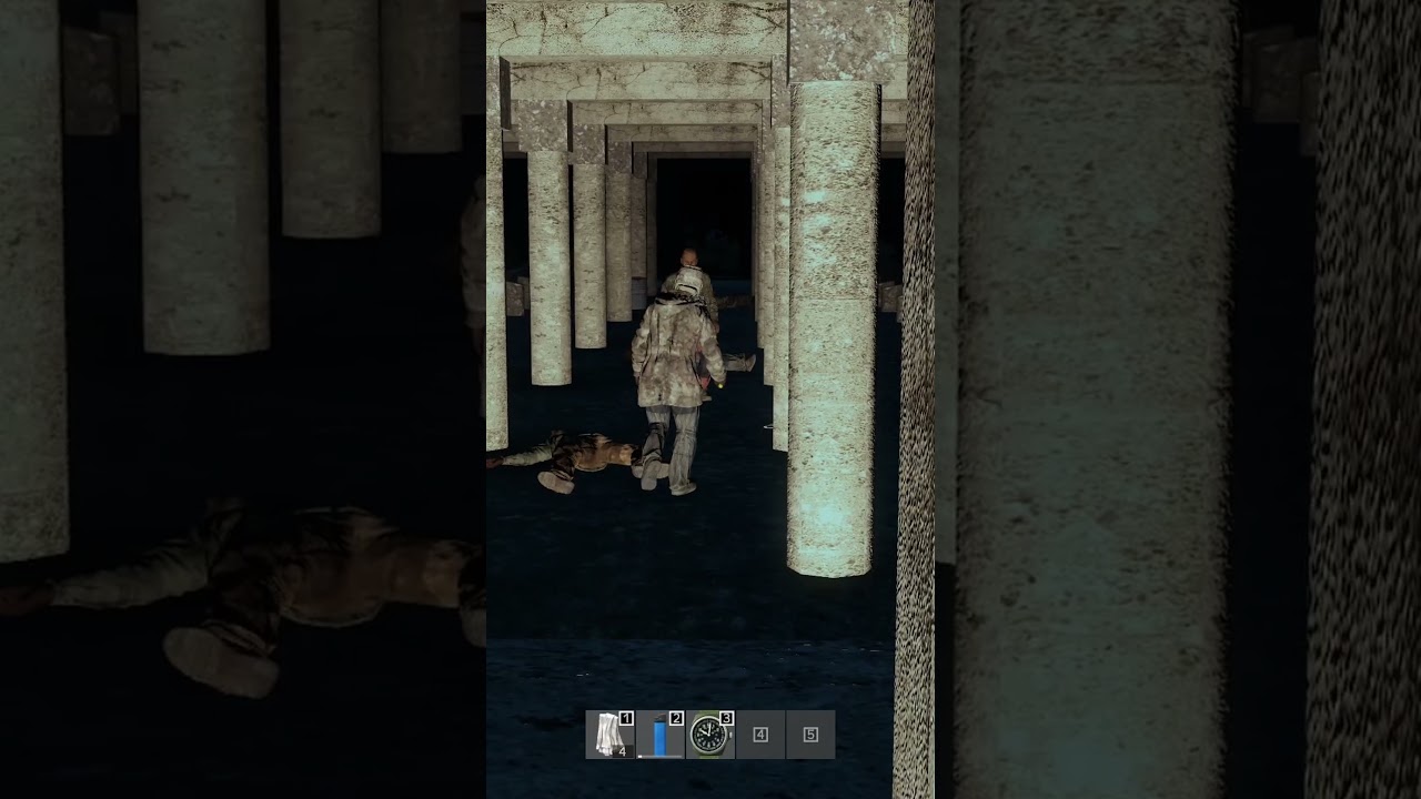 A Friendly WAGER DayZ