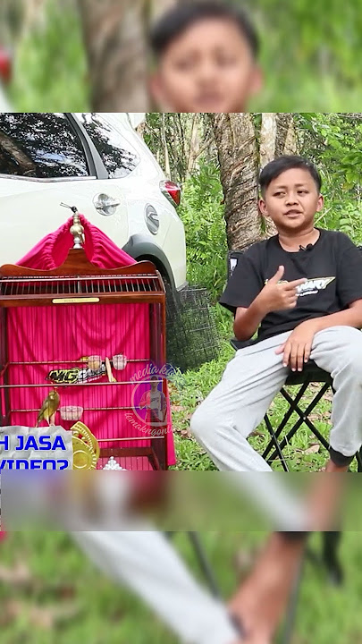 TANPA UMBAR? TANPA JEMUR?  EMANG BISA JUARA? PERAWATAN KENARI LOMBA | RAWATAN KENARI GACOR