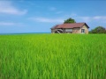[無料ダウンロード！ √] 夏風景 画像 175780-夏風景 画像