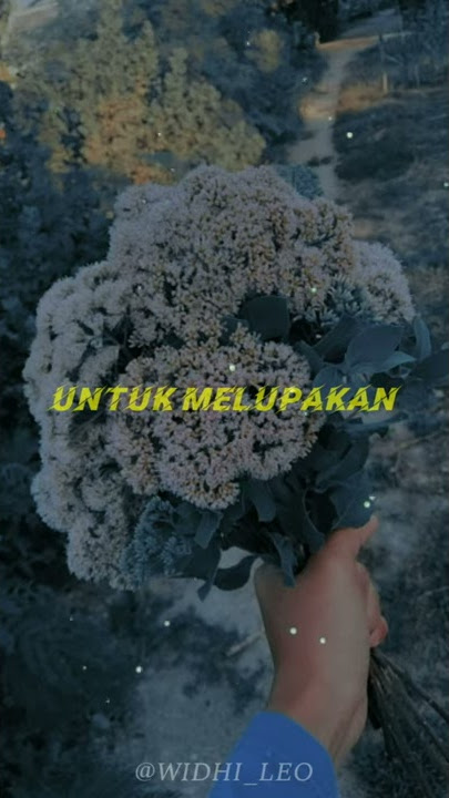 Story WA bucin sedih 'lagu 