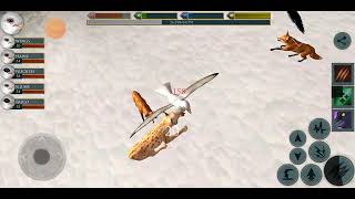 Ultimate Bird Simulator Seagull VS All Bosses