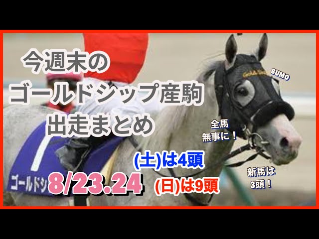 Gold Ship] Information on Gold Ship's offspring racing this