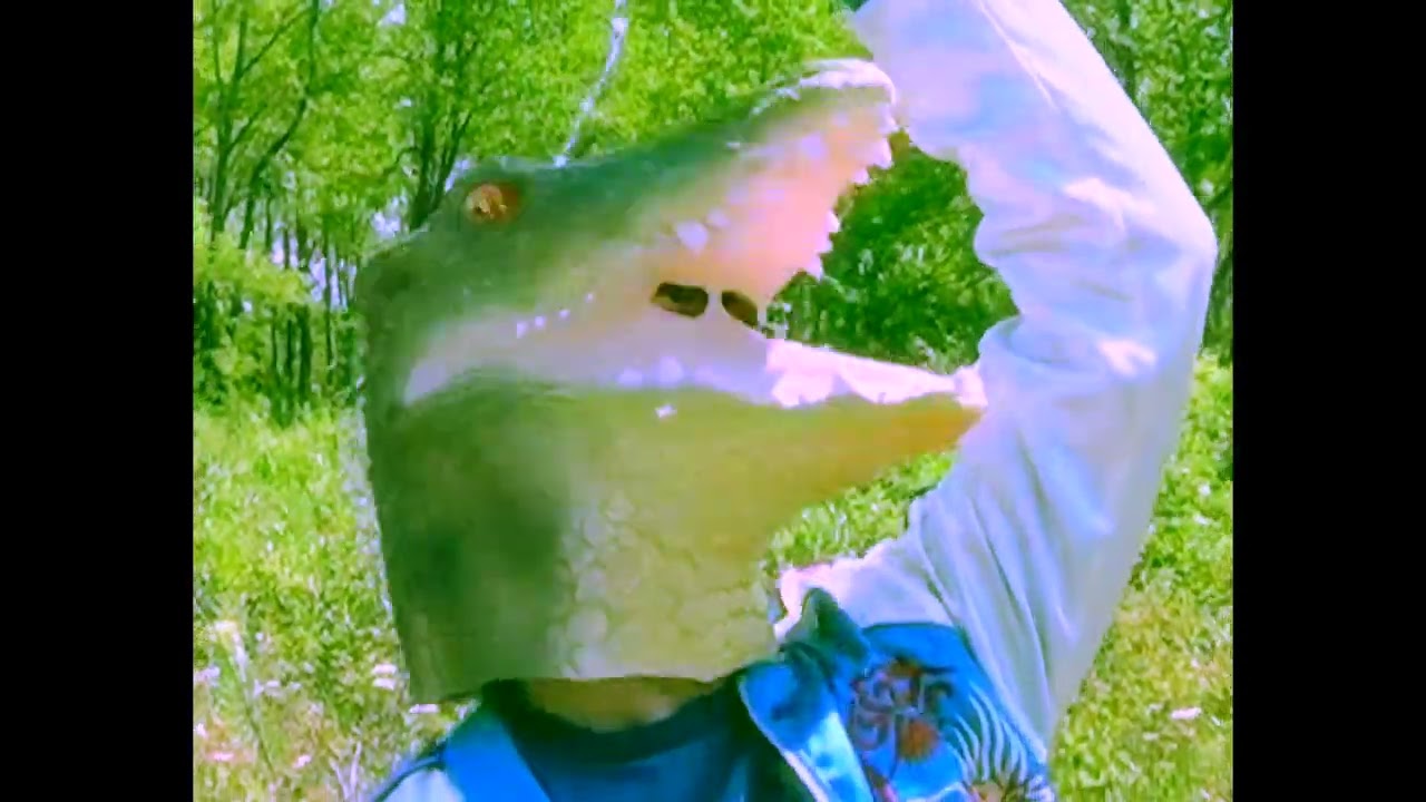 Everglades (prod. Bailey Daniel) by Oh-Snapigator (Official Video)