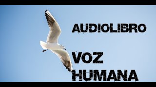 Juan Salvador Gaviota. Audiolibro. Juan Salvador Gaviota. Audiolibro.