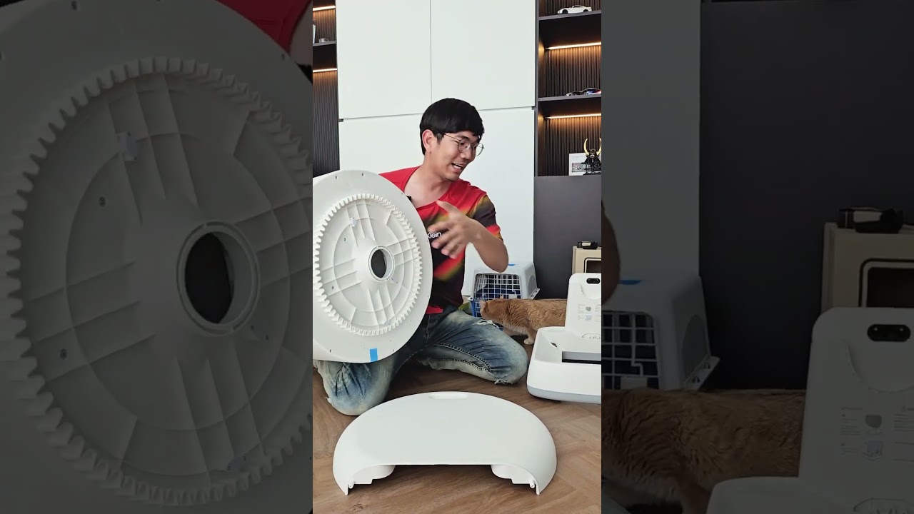 ห้องน้ำแมวยังมี AI มันดียังไง #ห้องน้ำแมว #ส้วมแมว #UBPET #ห้องน้ำแมวอัตโนมัติ #cat