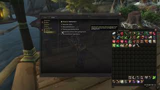 How to configure Bagnon ItemLevel Plus