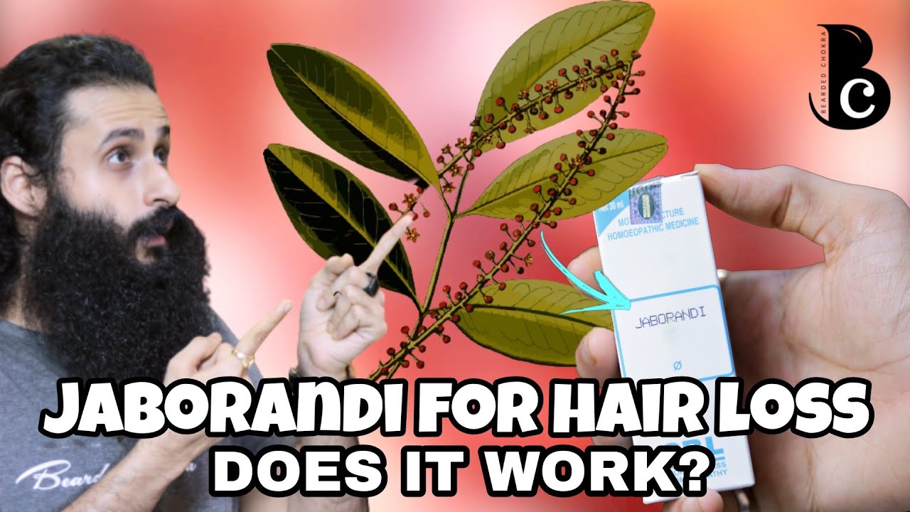 Jaborandi A Natural Treatment For Hair Loss, Balding & Hair Growth Bearded Chorka YouTube