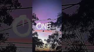 Two birds on a wire.