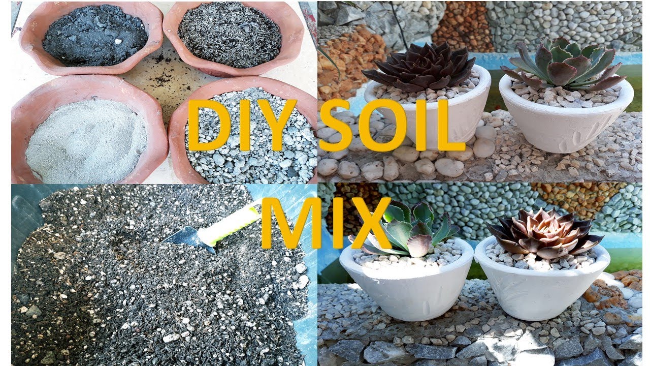 DIY SOIL MIX | Paano Ako mag prepare ng aking Cactus & Succulent Mix ...