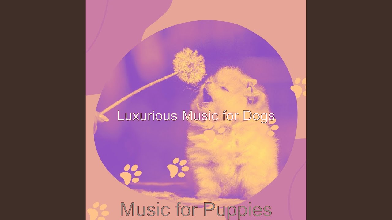 Urbane Music for Lonely Dogs