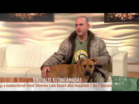 Videó: A Xylitol Megöli A Kutyákat! Tehát ölje Meg A Xilitet A Diétájában