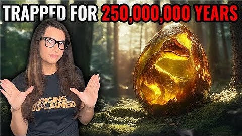 Scientists Just Discovered A Mummified Dinosaur Trapped In Amber