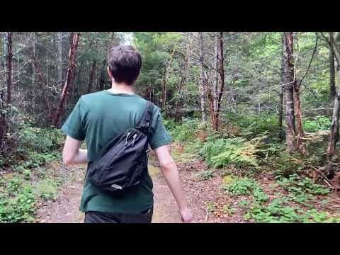 Nature Walk 🌲🌞🐦 (Aug 6, 2025) | Mind of Max