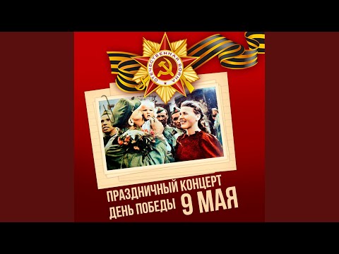 Летят перелётные птицы