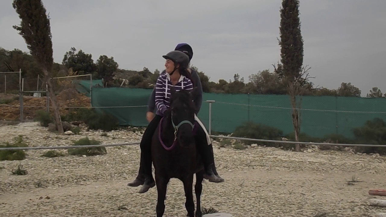 Two Girls and A Pony...