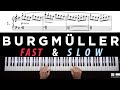  25 etudes by burgmller op 100      for learning denis z.anov