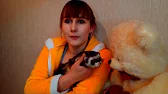SV.Ferret club