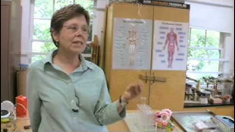 Voices of Open Access: Barbara Stebbins, Science Teacher