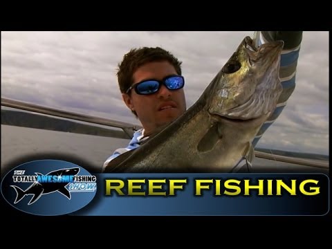 Reef fishing in Ireland - Graeme Pullen - Series 2 - Episode 3 - YouTube