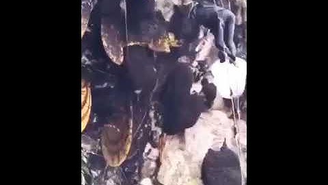 في خلق الله مالم تره الأعين     سورة النحل من الآية ٦٧ الى الآية ٧٠