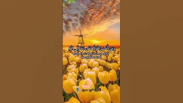 # سوره فصلت #راحة_نفسية #اكسبلور #حالات_واتس #دويتو #
