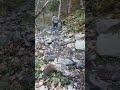 My Kasol Kheerganga Trekking(1)