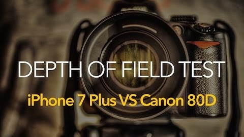 Depth of Field Comparison - iPhone 7 Plus vs DSLR Canon 80D