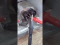 micro-ondas Electrolux não está ligando. defeito simples. dica rápida!!!