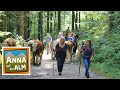 Das Abenteuer beginnt | Reportage für Kinder | Anna auf der Alm | #1