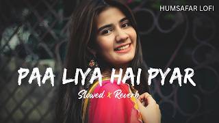 Paa Liya Hai Pyar Tera (Slowed   Reverb) - Udit Narayan & Alka Yagnik | Humsafar Lofi