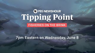 転換点：瀬戸際の水産業-PBS NewsHour Special