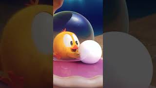 Shorts Chicky Cursed Treasure Wheres Chicky