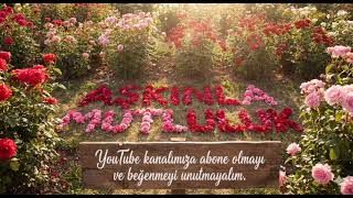 Aşkınla mutluluk 