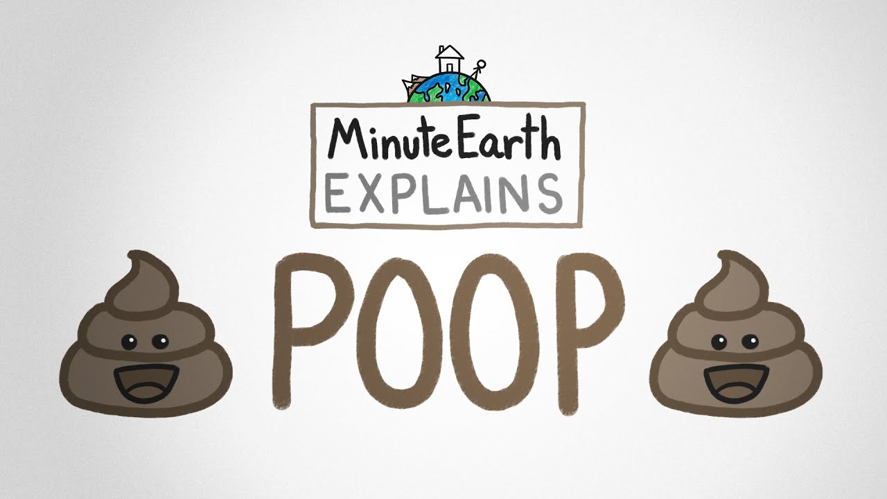 ⁣MinuteEarth Explains: Poop