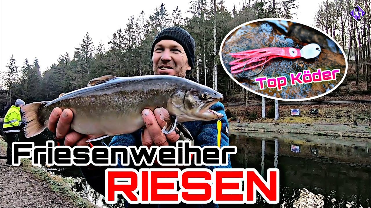 TOP Saiblings Köder im Einsatz/LAFO OGI/Friesenweiher